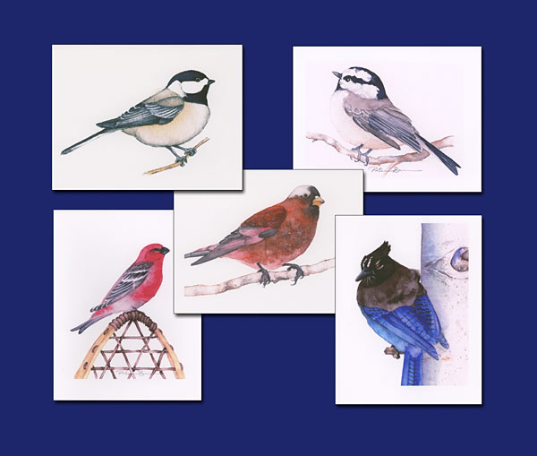 Rocky Mountain Birds watercolor note cards