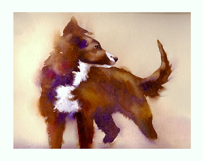 Collie without a Border watercolor note cards