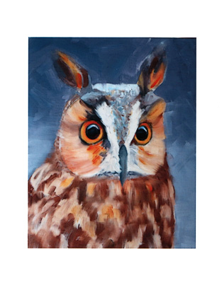 Long-earred Owl watercolor note cards