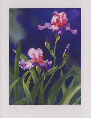 Pink and Purple Iris watercolor note cards