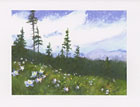 View from Mt. Whetstone watercolor note card